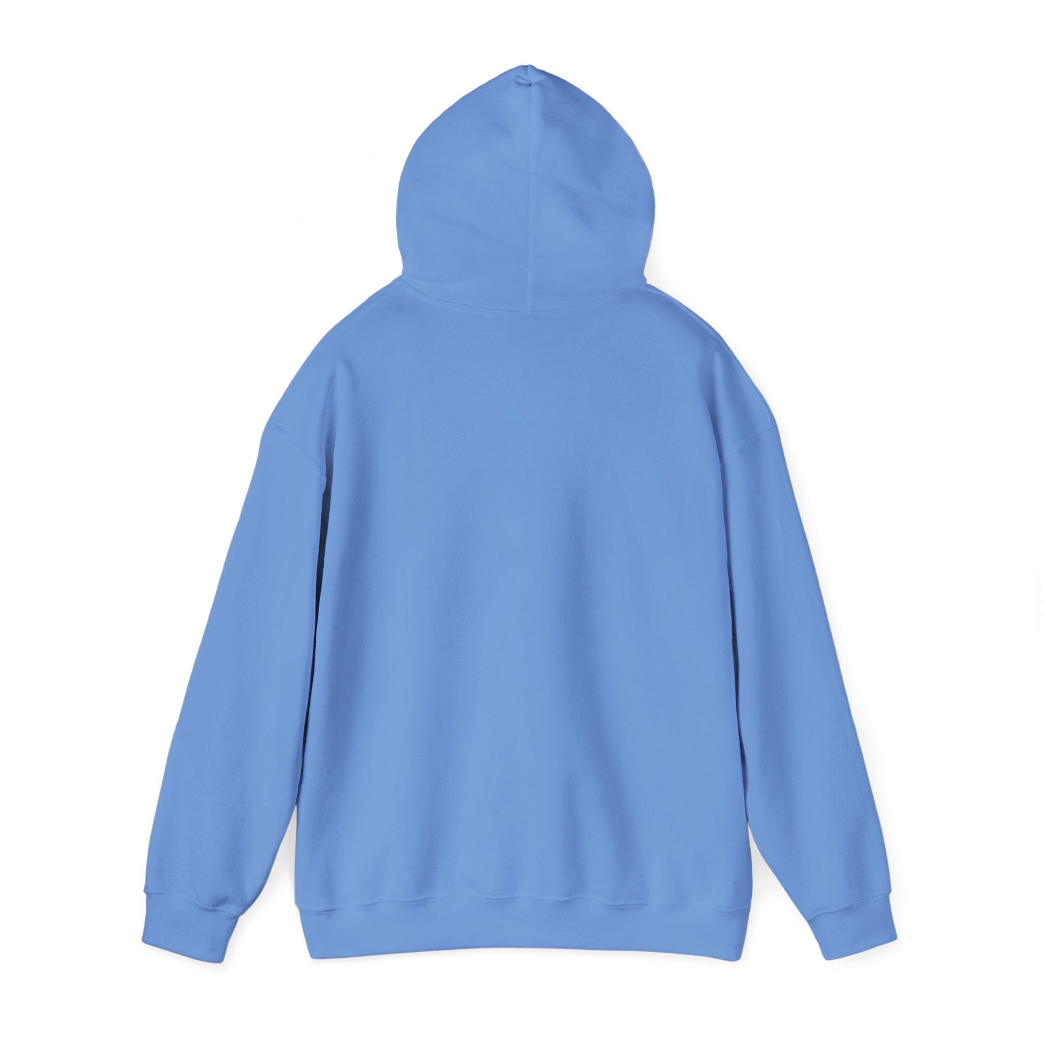 Koi Sushi Stack Hoodie | Japanese streetwear, cherry blossom graphic