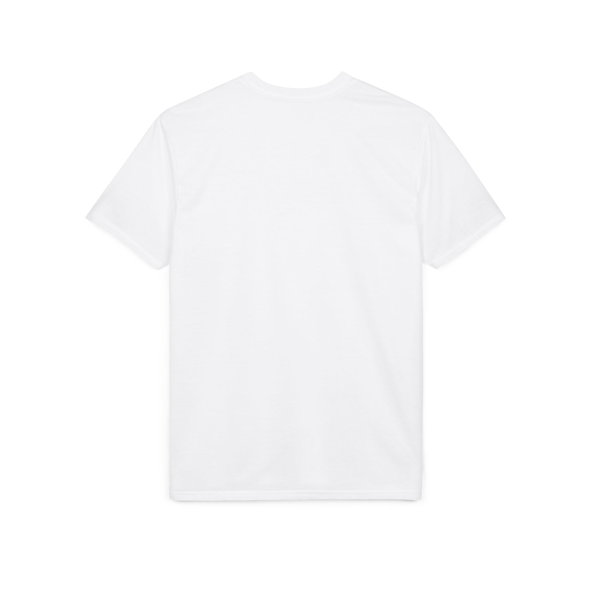 Meditative Buddha UFO T-Shirt — Psychedelic Zen Landscape Tee