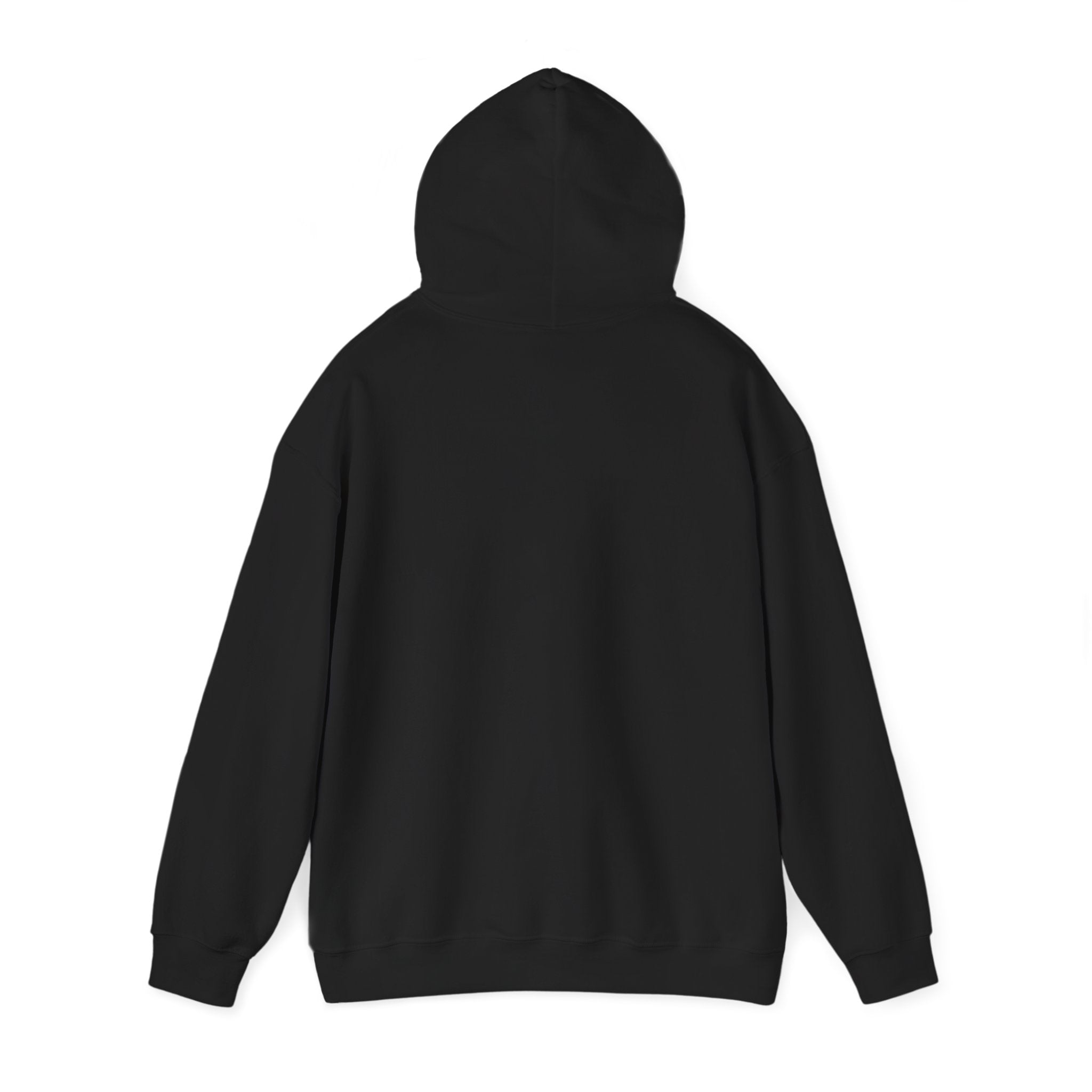 Juneteenth Freedom 1865 Hoodie | Pan-African Colors, Black Pride Message