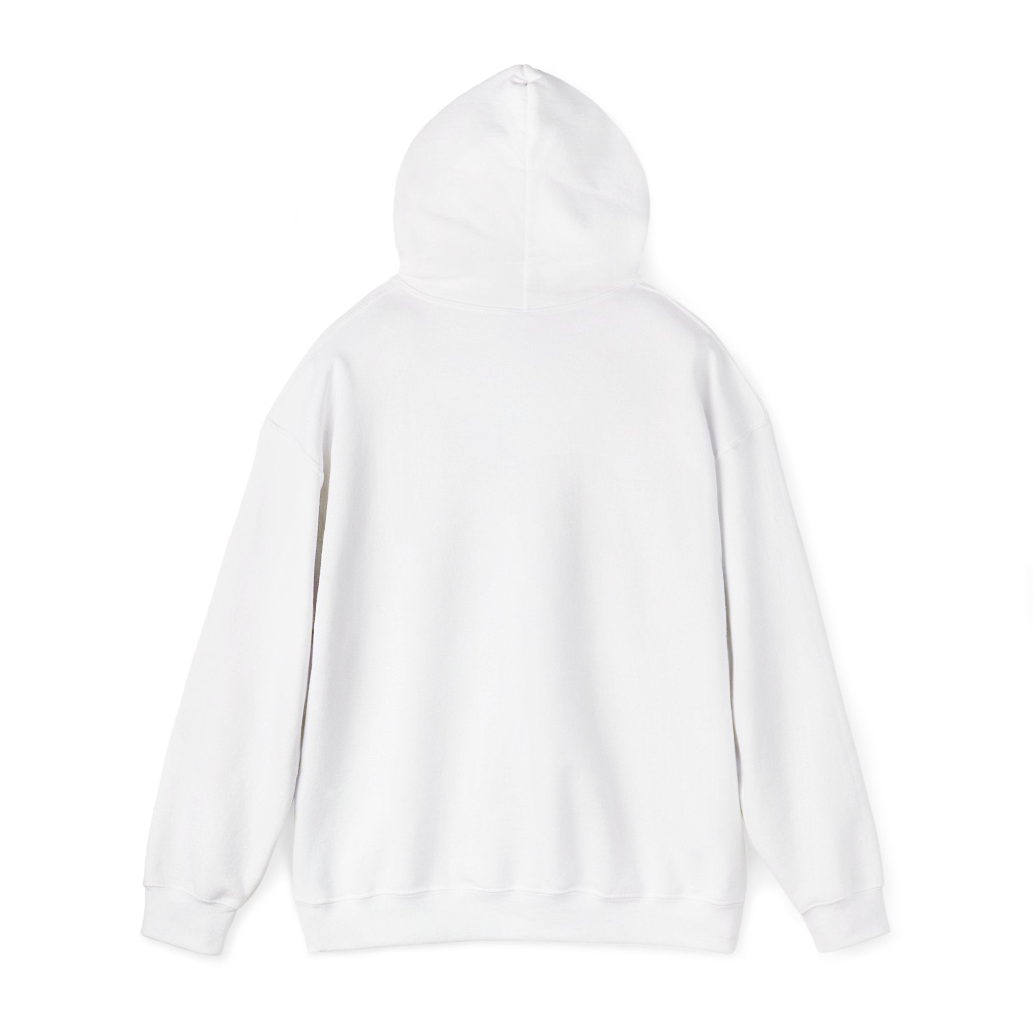 Black Brave Queen Hoodie | Juneteenth Pan-African Colors, 1865 Freedom Pride