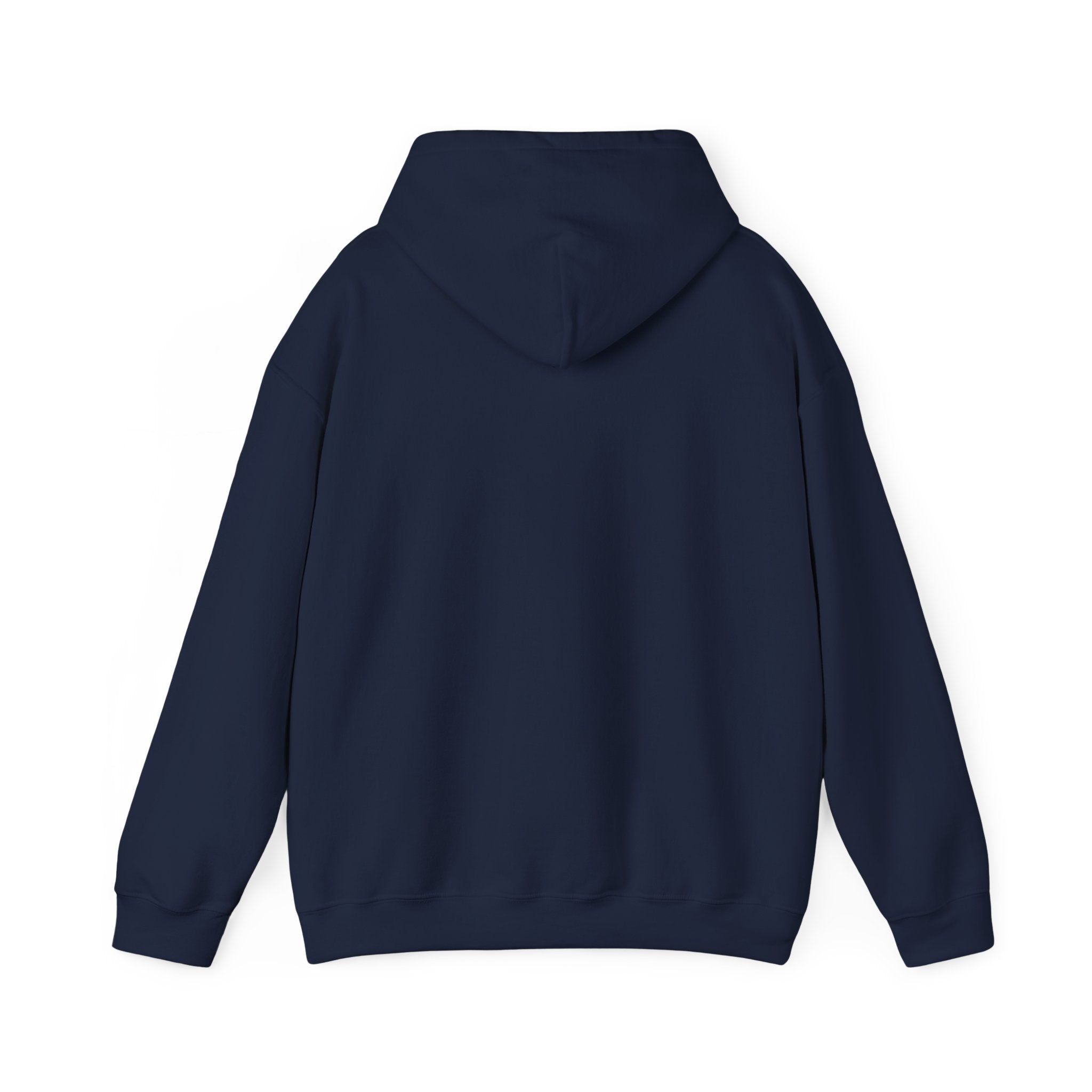 Juneteenth Freedom 1865 Hoodie | Pan-African Colors, Black Pride Message