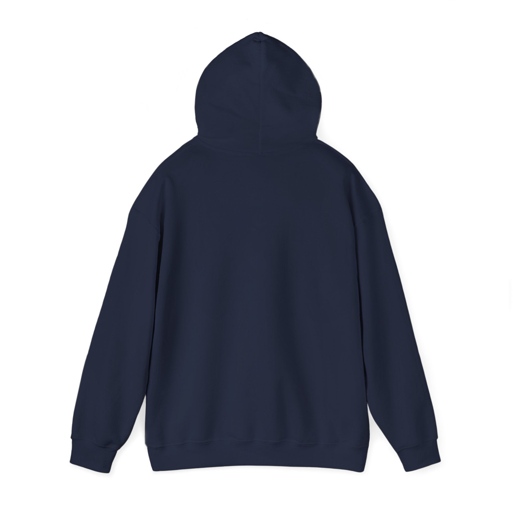 Juneteenth Freedom 1865 Hoodie | Pan-African Colors, Black Pride Message
