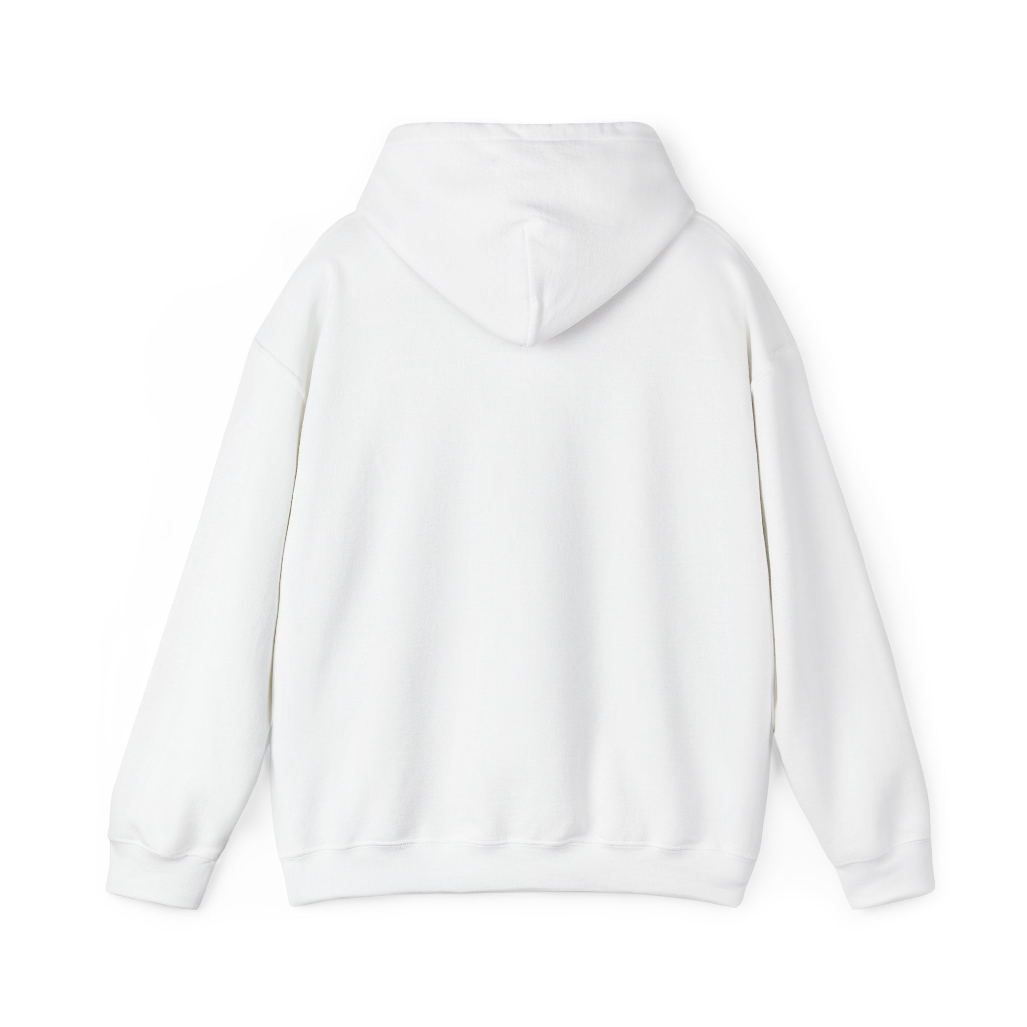 Black Brave Queen Hoodie | Juneteenth Pan-African Colors, 1865 Freedom Pride