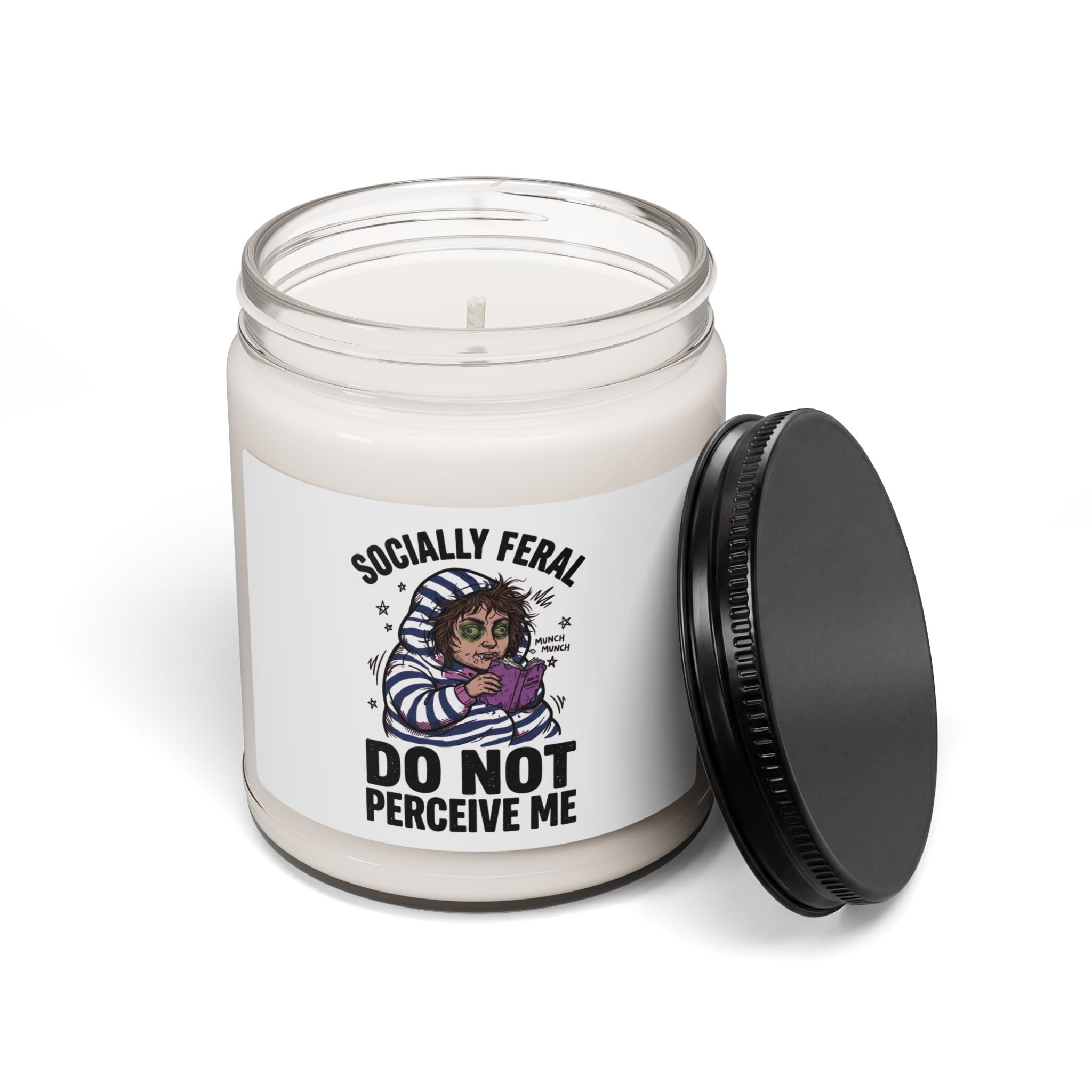 Socially Feral "Do Not Perceive Me" Candle, Feral Era Retro Raccoon Style